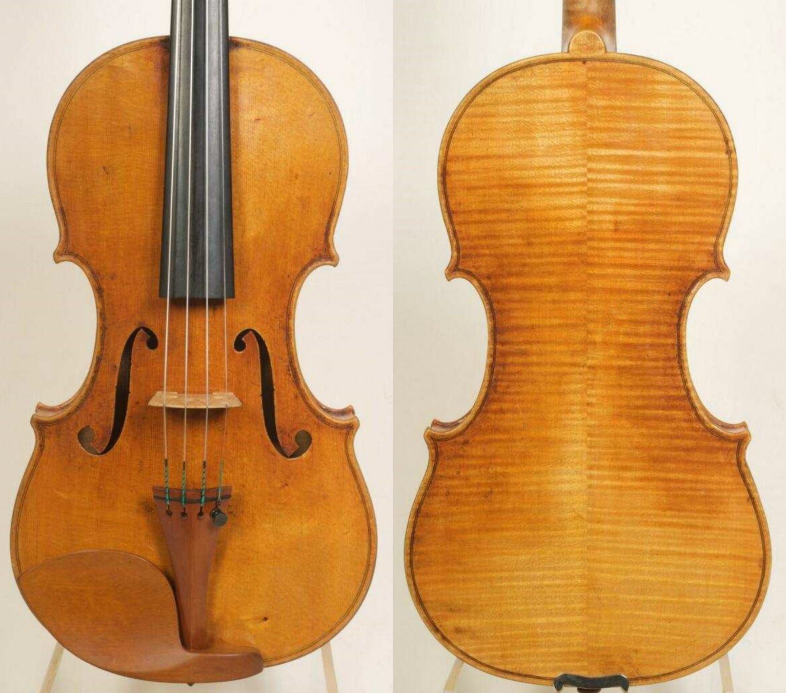 Violin